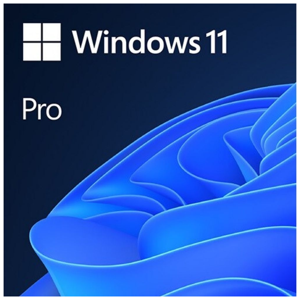 Microsoft Windows 11 Pro 32/64 Bit TR-ING Esd Elektronik Lisans (FQC-10572)
